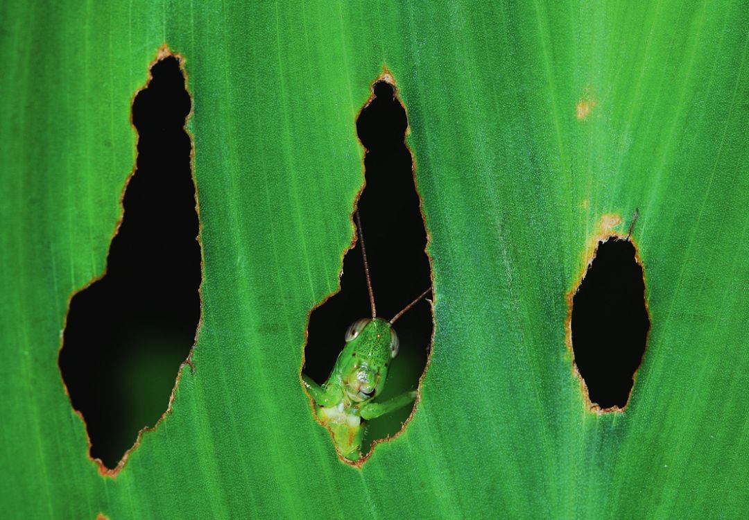 远离城市的自然之美,探寻城市中的自然之美