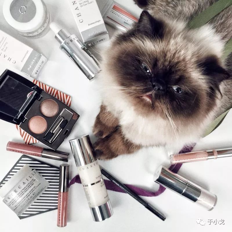 空瓶记20个产品,空瓶记一季度