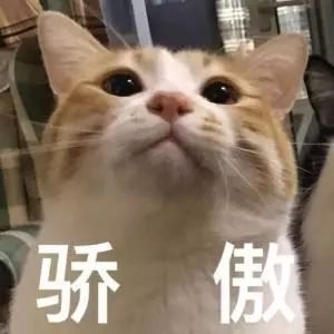 如何通过肺ct看出自己得了肺炎,肺ct怎么看出是病毒还是细菌