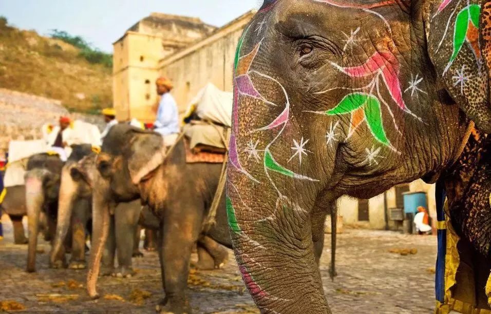 吐血整理专业全攻略,云南春节出境旅游攻略