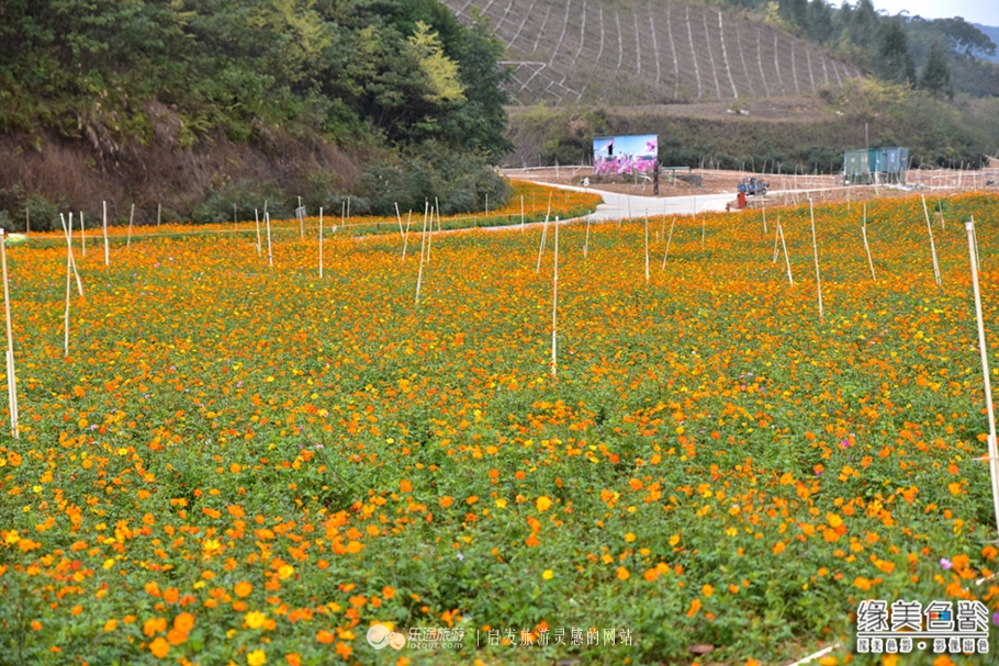 享私人温泉泡池度养生悠闲假期