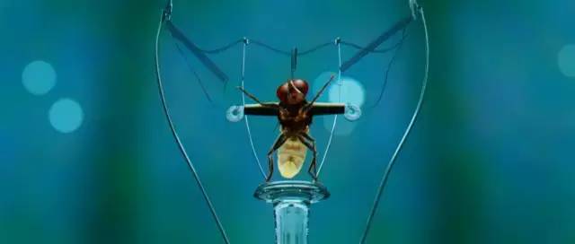 十大印度开挂神片直接看,印度十大开挂神片巴霍巴利王