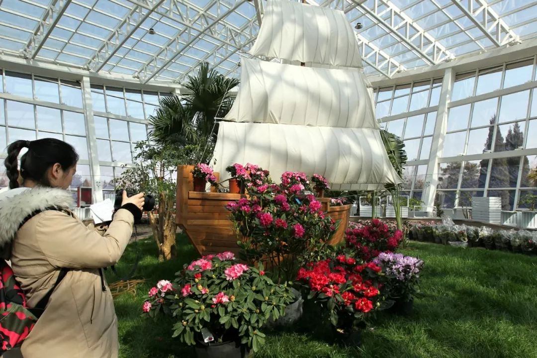 「946·民生」石家庄过年全攻略！医院、银行、演出、商超营业时间地点大汇总！