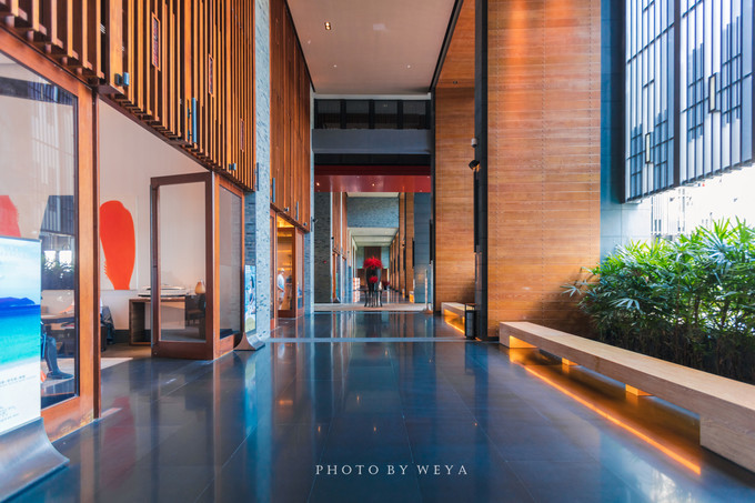 面面旅拍—诉不完千古泪，道不停三亚情，这个冬天我们掌心有太阳