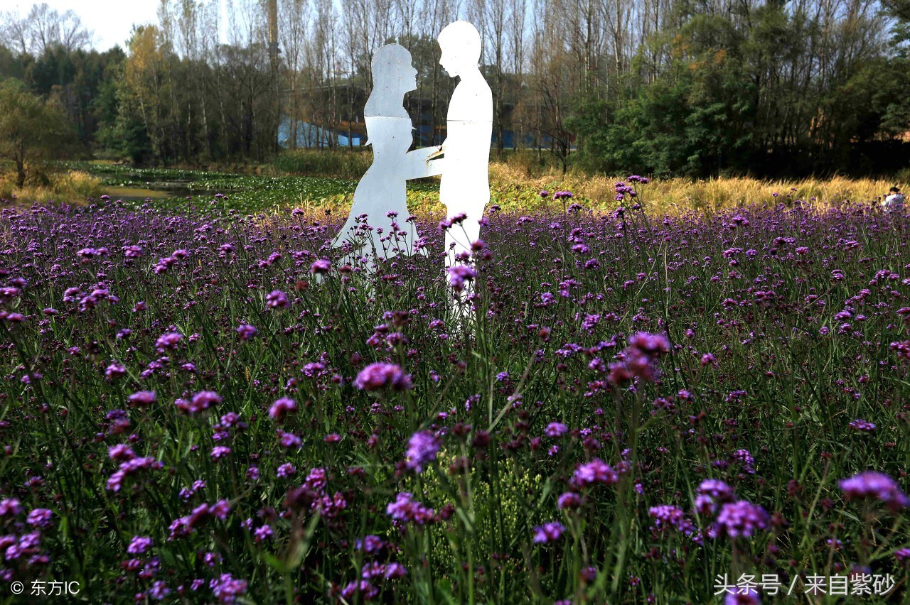 姓氏里面藏着的绝美诗,姓氏的动人情诗