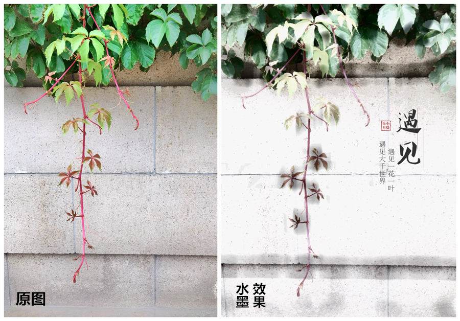 后期特效制作app,后期作图软件