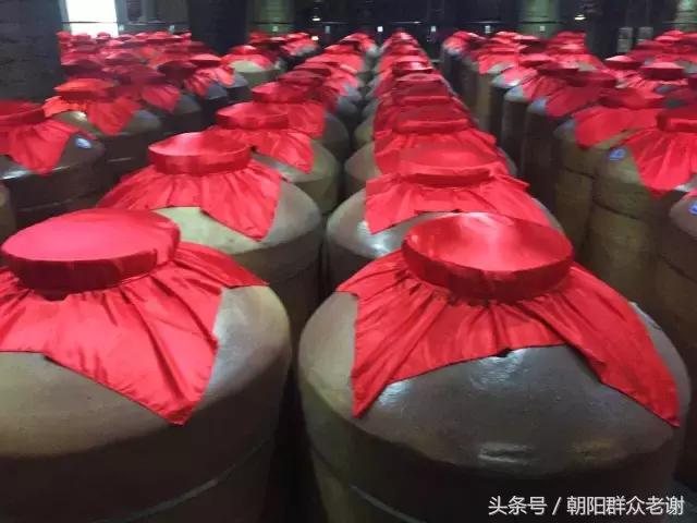 洋河酒厂文化之旅图片,洋河酒厂历史简介概况