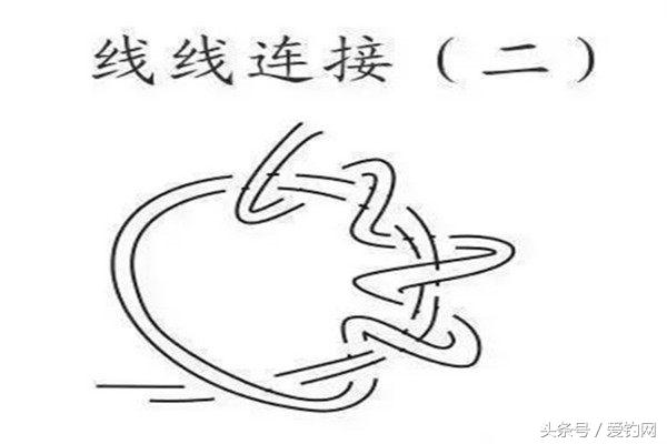 绑钓线技巧,主线绑竿稍钓各种鱼的绑法