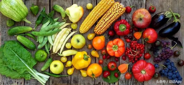 爬楼梯可做些什么运动,爬楼梯是不好的运动方式吗