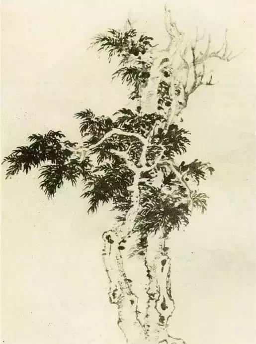 怎么画枯萎的树简单又好看,成长树怎么画小学生六年级