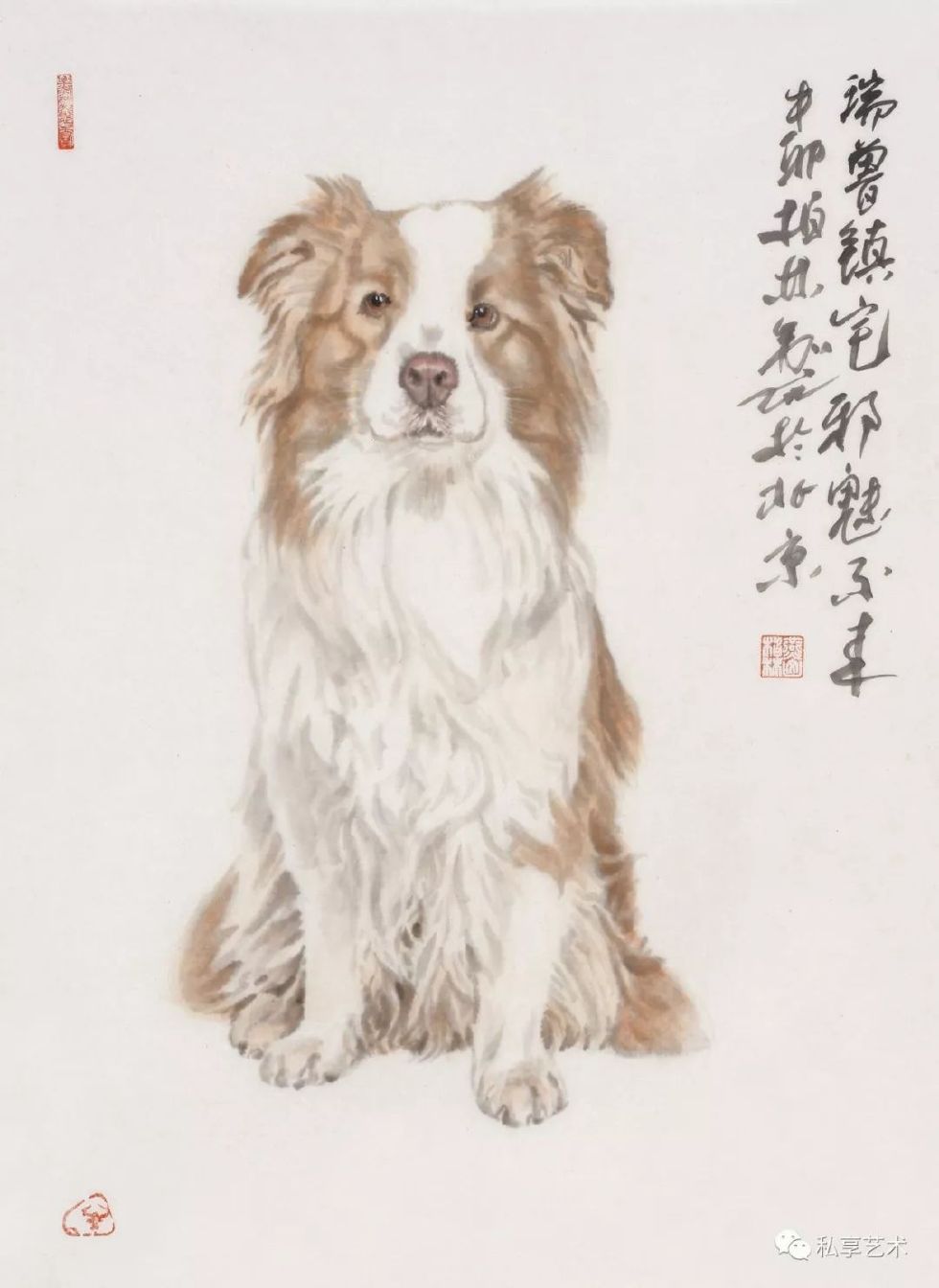瑞犬迎春视频完整版,瑞犬迎春