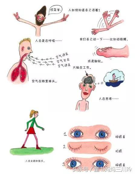 妈妈，什么是啪啪啪？我是从哪儿来的？如何回答这些尴尬问题