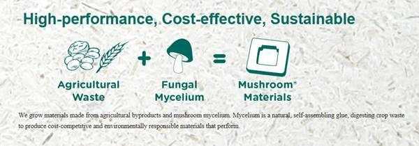 欢迎吸血鬼夫妇加入，黄金回收计划启动