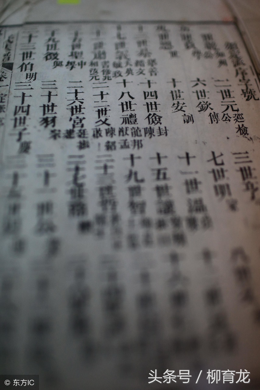 有没有什么特别的家谱编修小技巧,11个步骤教你快速编修家谱