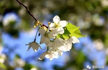 带不走的只有你烟嗓完整版,带不走的只有你原版