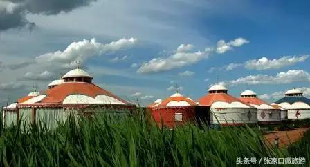 张北的草原,张北草原人少景美