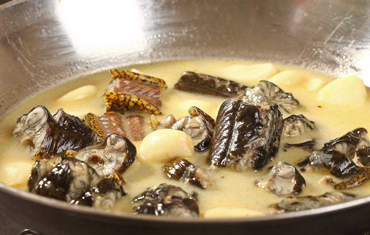 本草纲目对银屑病的记载,中医讲银屑病要忌口