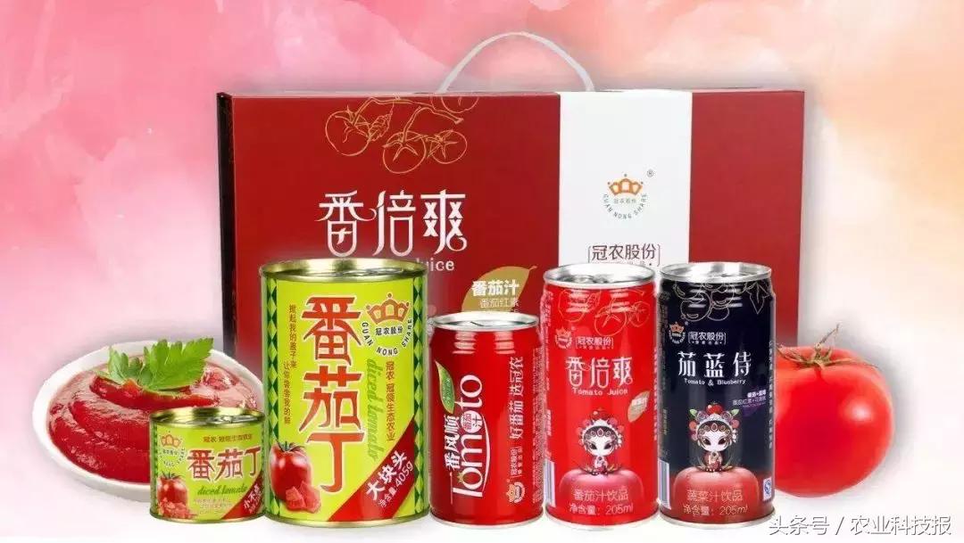 从传统商业模式到电商的转型范文,从农民到百亿创业靠红枣翻身