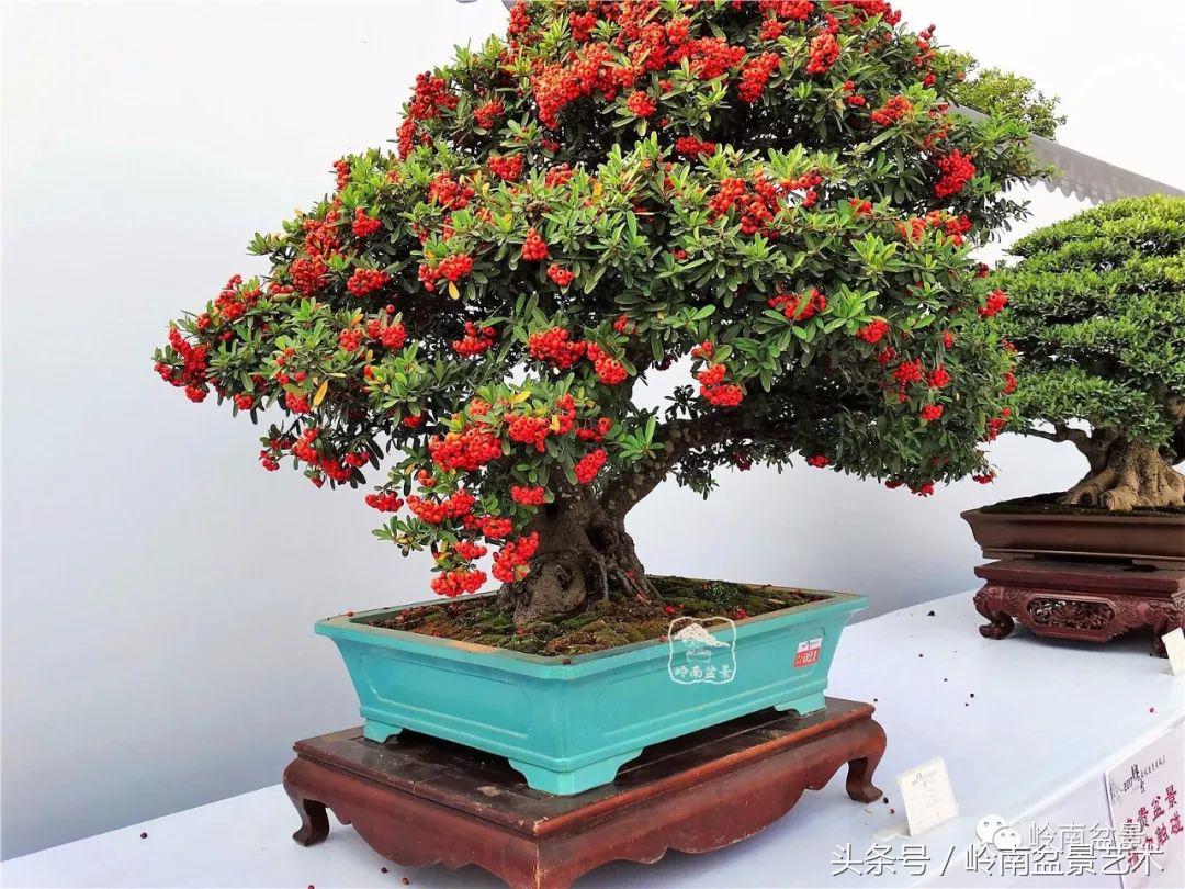 过年送礼好不好,过年送礼单数还是双数好