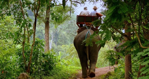 芭提雅大象村好还是东芭乐园好,芭提雅大象村和东芭乐园哪个好