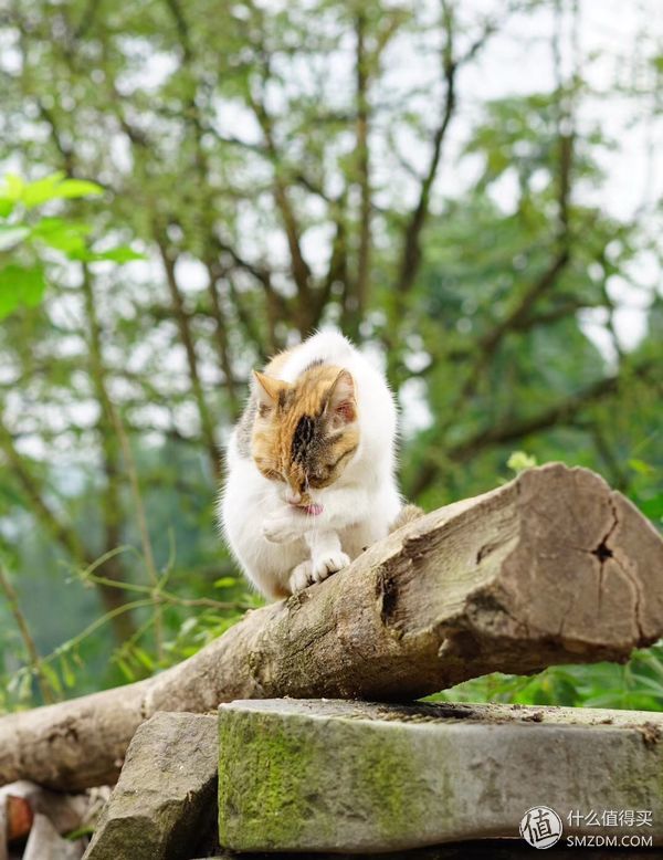 带着相机旅行记,带相机旅行记录