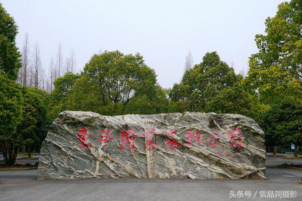 武磊助西班牙人收入猛增,武磊最新身价达2000万欧