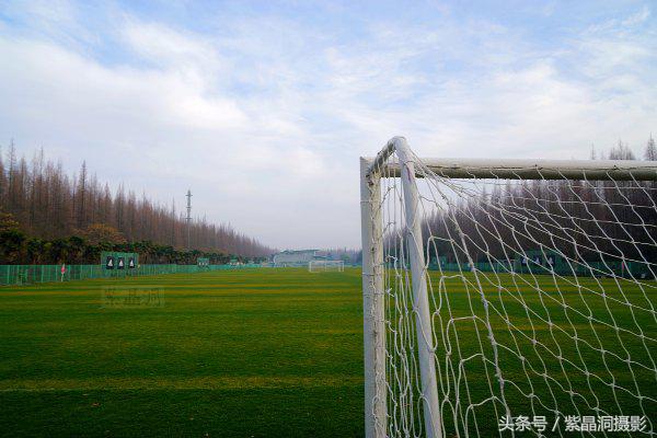 武磊身价能涨到2000万欧吗,武磊最新身价达2000万欧