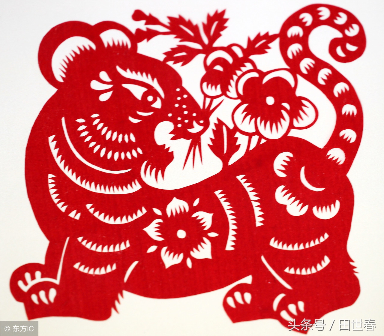 2018年十二生肖整体运势如何呢,2018年的12生肖运势详解