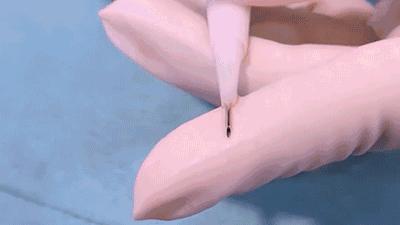 日本研究秃顶,日本教授秃头研究