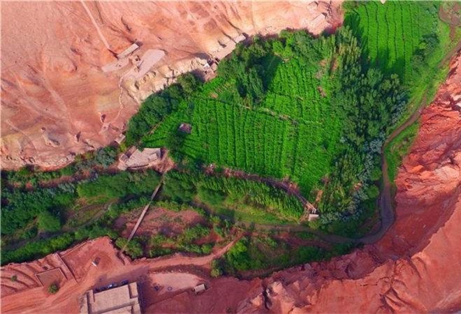 为什么吐鲁番的瓜果特别甜,吐鲁番为什么种那么多葡萄