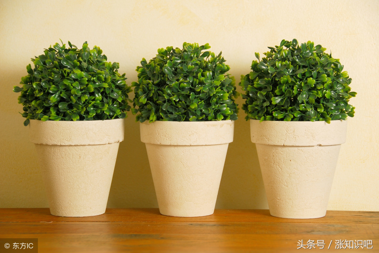 新沙发有气味怎么去除最快,新沙发通风多久除甲醛