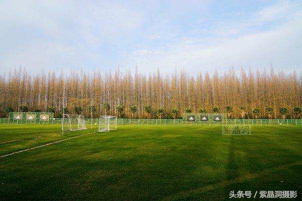 武磊身价能涨到2000万欧吗,武磊最新身价达2000万欧