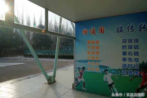 武磊助西班牙人收入猛增,武磊最新身价达2000万欧