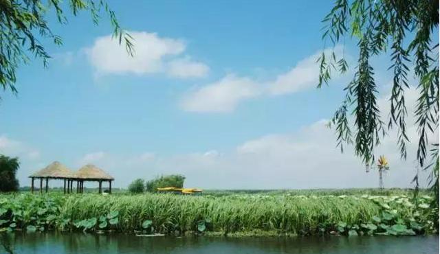 一个外地人眼中的宝应,宝应人有什么好处