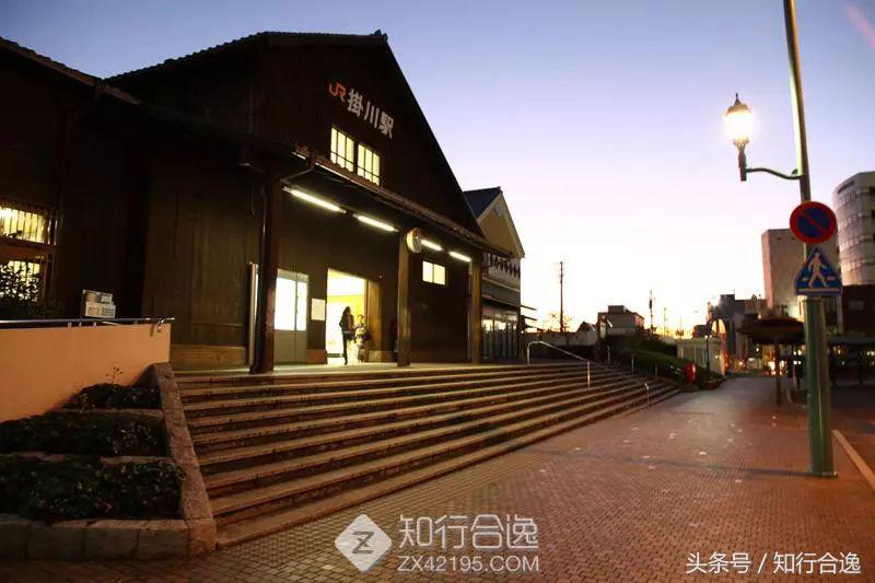 草莓补给，初春十里茶园为赛道，来挂川喝茶跑马！