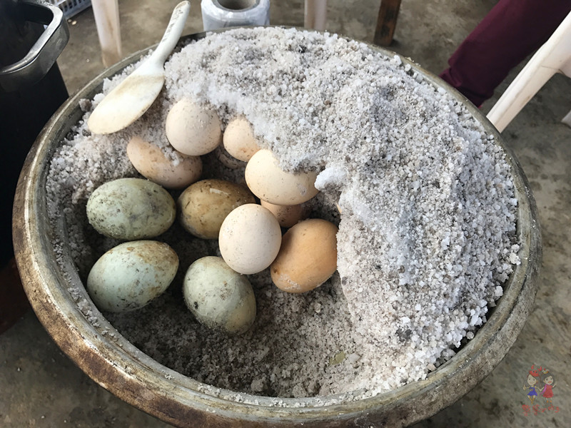 火山石晒盐，活珊瑚与苏东坡的晚年——我在海南画了一个圈儿,6