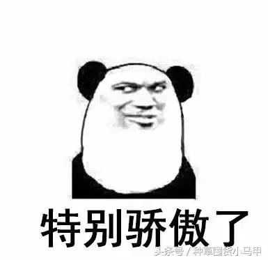 代购骗局揭秘套路,远离假代购真相