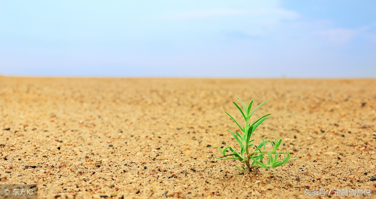 姝槾鍒涘璇磋瘽瑙嗛,姝槾鍒涘