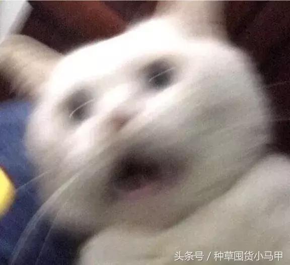 代购骗局和骗术一样吗,一招鉴别假代购