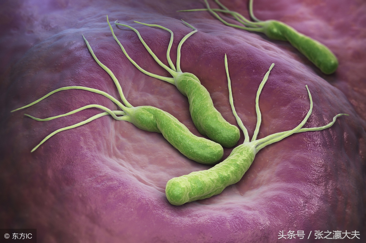 胃最怕食物,胃最怕它养胃护胃4款食谱最有效