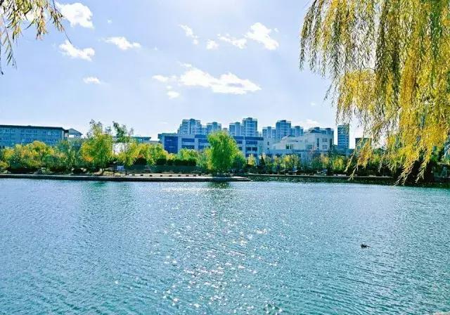 你撤回了一条消息的印记怎么删除,你撤回了一条消息怎么删除