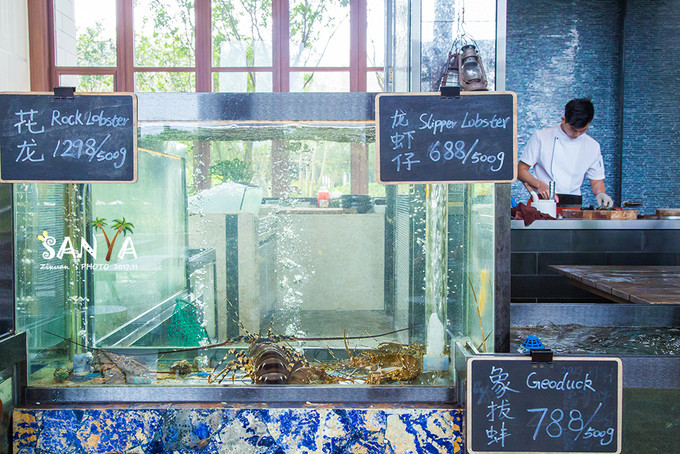 三亚离海南有多少公里,三亚一生去几次