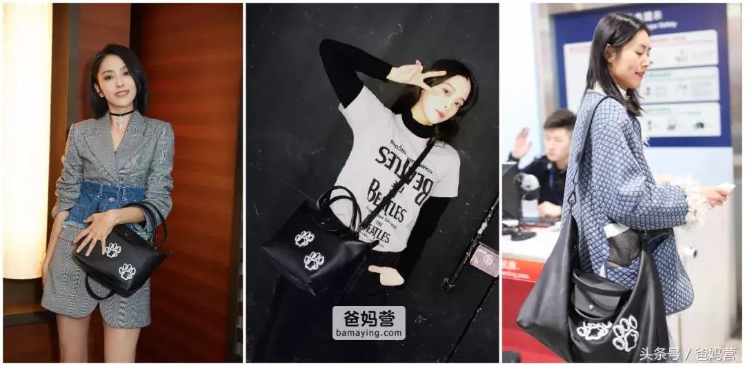 囧！LV、Gucci、Dior的狗年限量款！你们考虑过狗的感受吗？