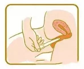 美国试管婴儿移植后14天内，胚胎到底都经历了什么？