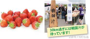 草莓补给，初春十里茶园为赛道，来挂川喝茶跑马！