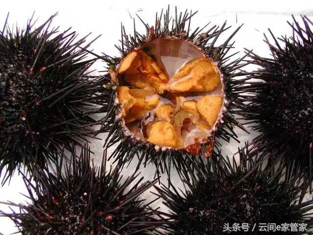 春节留深,去哪里买年货又省又全?