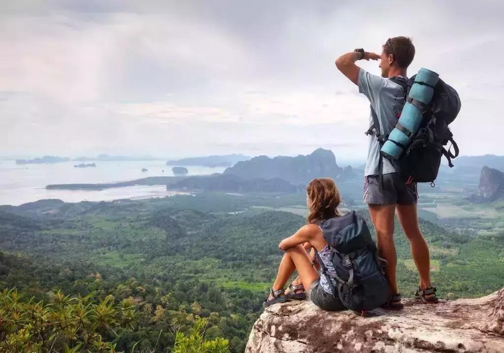 马蜂窝里的马蜂冬天都去哪里了,马蜂窝旅游的注意事项