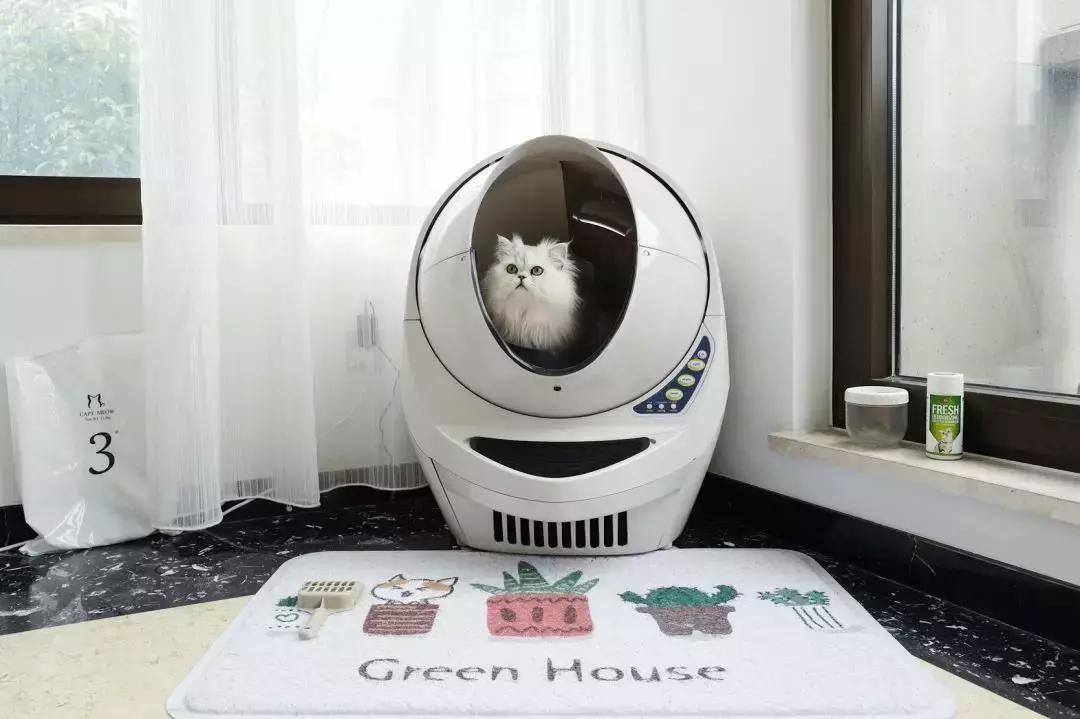 宠物猫自动喂食器推荐,宠物猫智能喂食器和智能喂水器