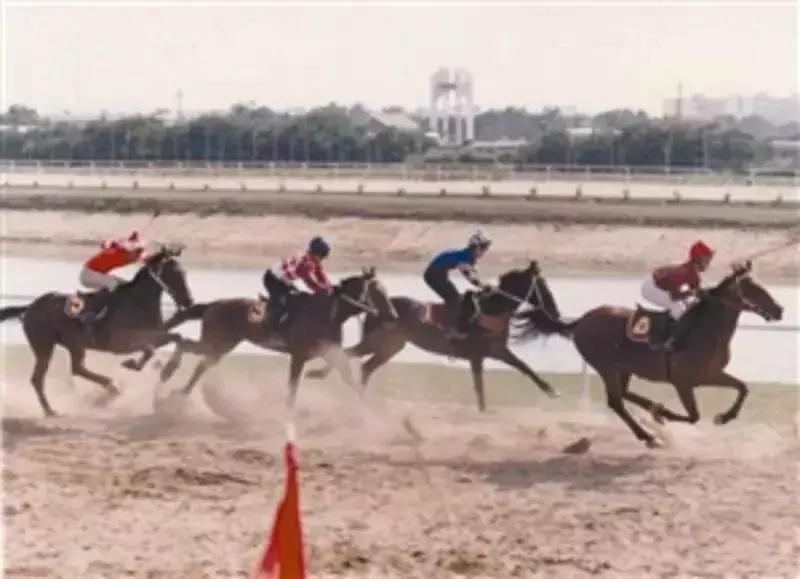 香蜜湖1979拆了吗,深圳香蜜湖德仕堡以前什么样子