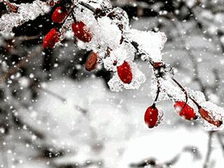 运城史无前例的寒冷气温,降温大风未来7天运城天气